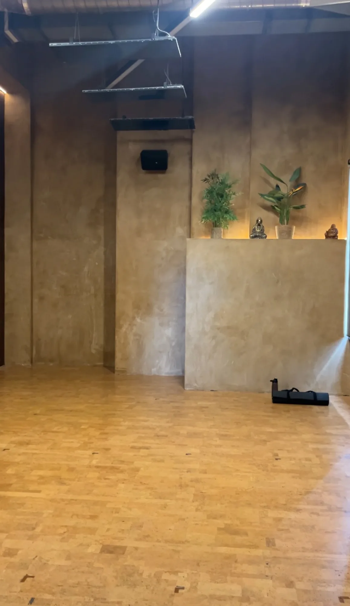 Warm textured studio wall with vertical divisions, a raised plant ledge and wood-tone flooring.